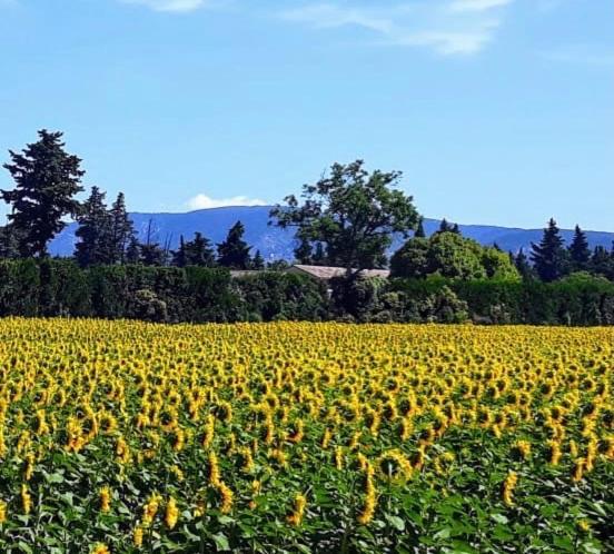 Вилла La Roubine, Velleron Экстерьер фото